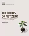 Roots of net zero