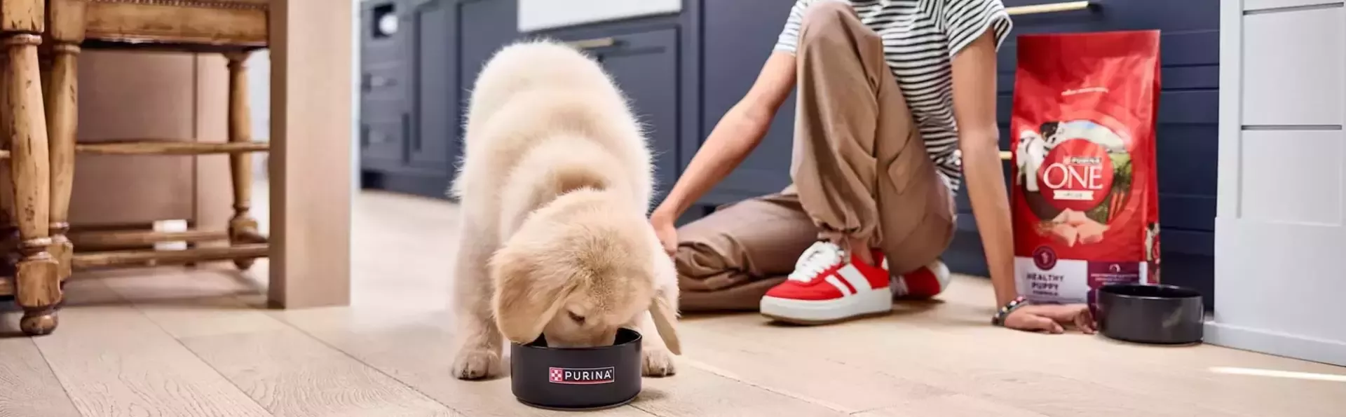 Purina visual header