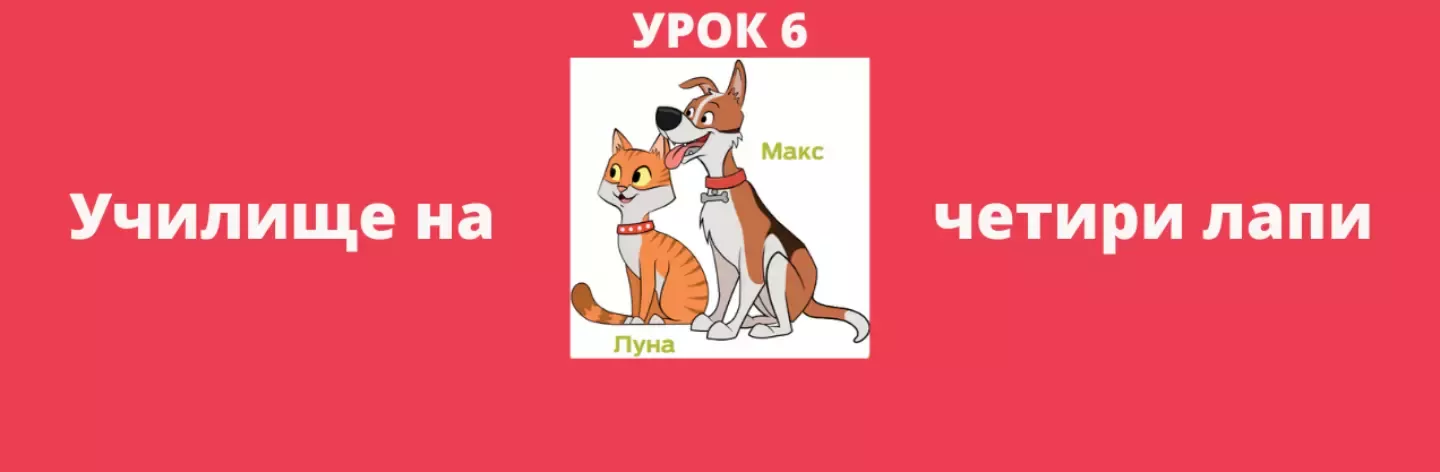 video urok 6