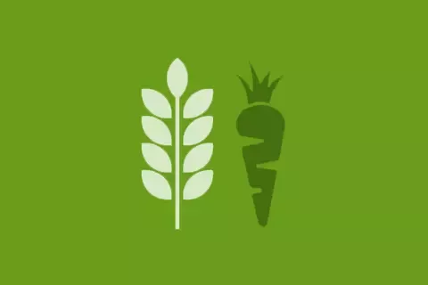 Environment GMO