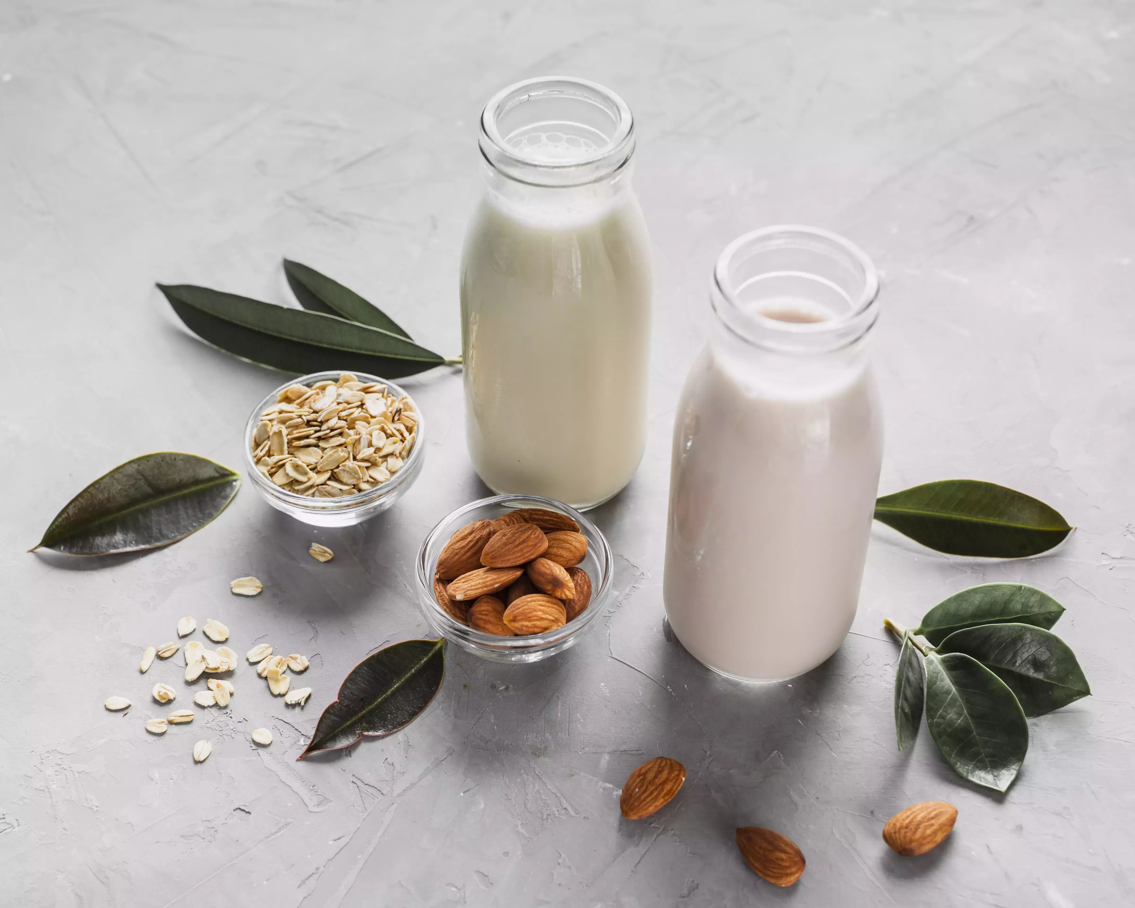 веган заместители на млечни продукти