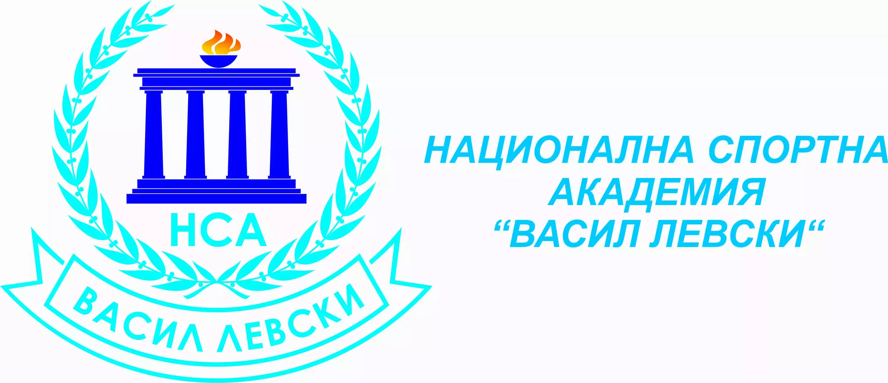 Лого НСА