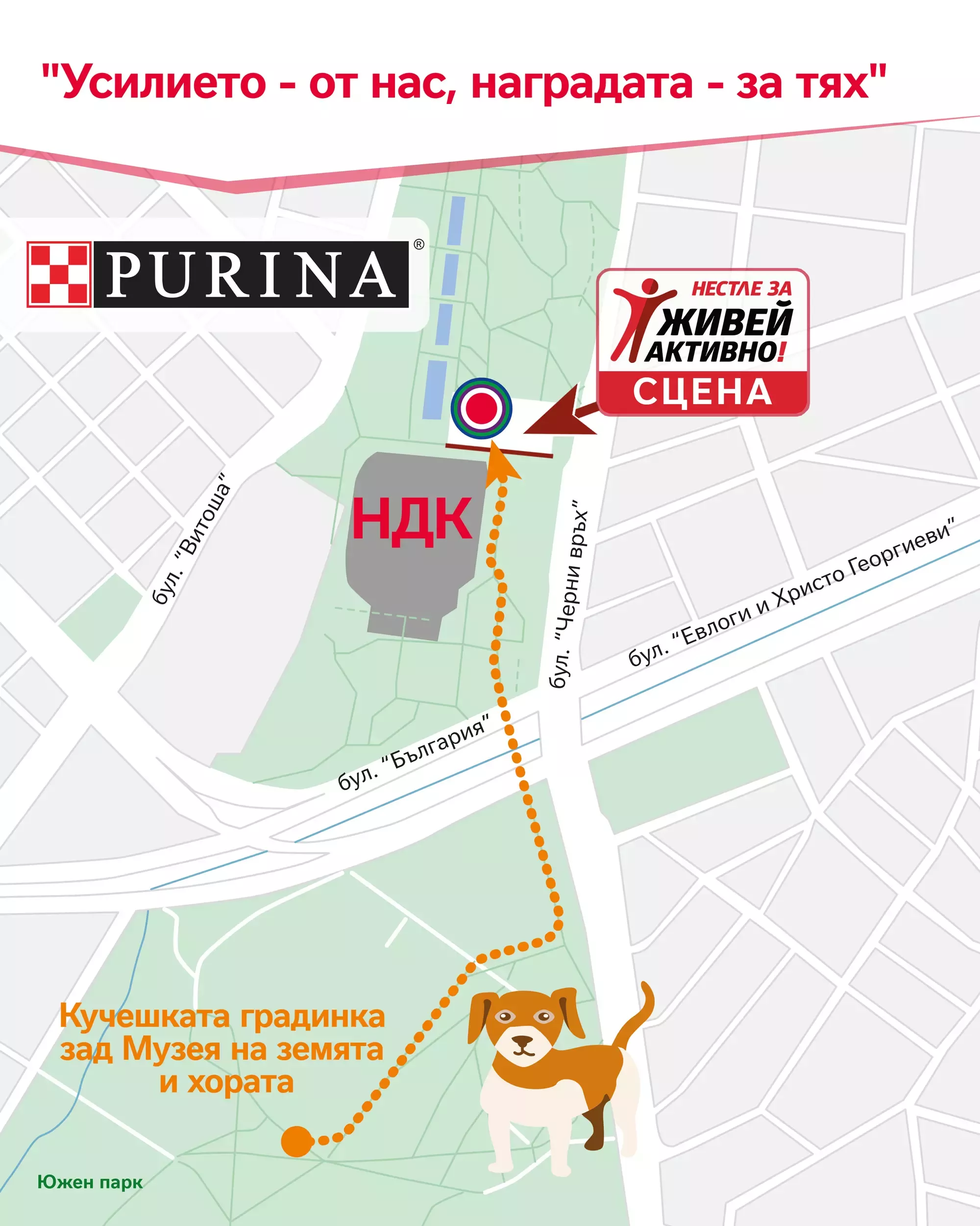 Карта на лъча